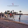 A More Efficient Booking Experience - Book Your Holiday Rental in Hurghada Online - www.apartmentsinhurghada.com
