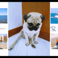 Don't Be Grumpy - Hurghada Opens For Tourism on July 1, 2020 - Book Your Holiday Rental in Hurghada Online - www.apartmentsinhurghada.com
