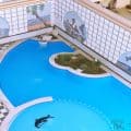 Vacation Rentals in Central Hurghada With A Swimming Pool - Sheraton Plaza - Book Online - www.apartmentsinhurghada.com