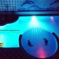 Evening Swim at Sheraton Plaza - Holiday Rentals in Central Hurghada With Kitchenettes - Book Online - www.apartmentsinhurghada.com