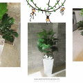 Greenery in Our Holiday Rentals @ Tiba Resort Hurghada - Book Your Vacation Rental @ Tiba Resort Online - www.apartmentsinhurghada.com -