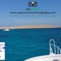 Holiday Rentals in Hurghada With Great Reviews on TripAdvisor - www.apartmentsinhurghada.com -
