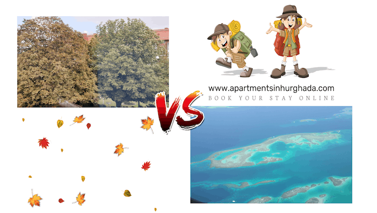 Book A Stay For Autumn 2021 in Hurghada - Award-Winning Holiday Rentals Online - Book on www.apartmentsinhurghada.com -