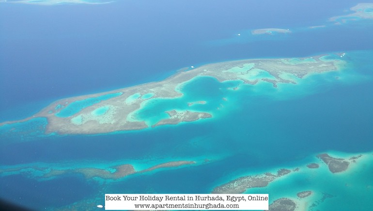 Discover The Marine Marvels in Hurghada, Egypt - Book Your Holiday Rental in Hurghada Online - www.apartmentsinhurghada.com -