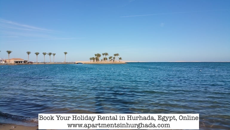 Discover The Marine Marvels in Hurghada, Egypt - Book Your Holiday Rental in Hurghada Online - www.apartmentsinhurghada.com -
