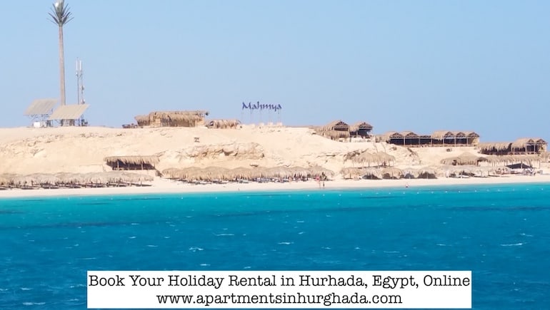 Discover The Marine Marvels in Hurghada, Egypt - Book Your Holiday Rental in Hurghada Online - www.apartmentsinhurghada.com -