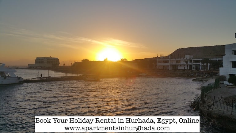 Discover The Marine Marvels in Hurghada, Egypt - Book Your Holiday Rental in Hurghada Online - www.apartmentsinhurghada.com -